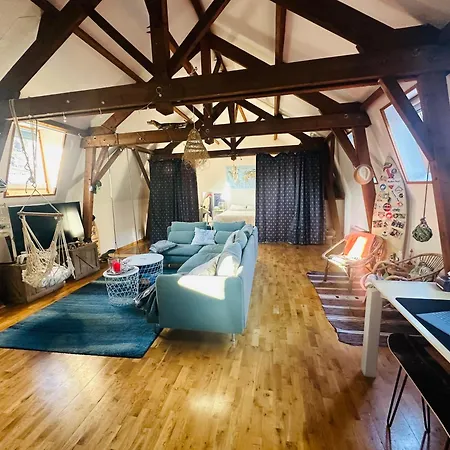 Loft A Partager