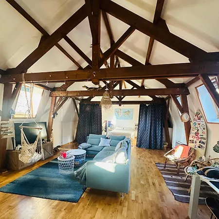 Loft A Partager *